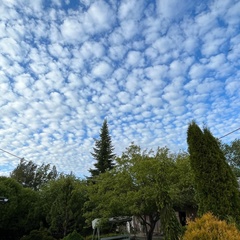 Центр отдыха Усадьба Ястребино, Волосовский район, Ленинградская область