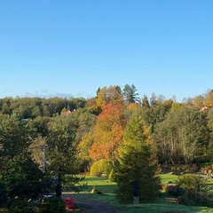 Центр отдыха Усадьба Ястребино, Волосовский район, Ленинградская область