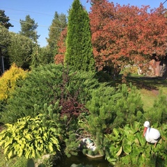 Центр отдыха Усадьба Ястребино, Волосовский район, Ленинградская область