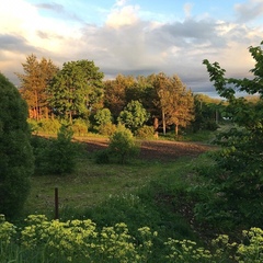 Центр отдыха Усадьба Ястребино, Волосовский район, Ленинградская область