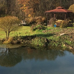 Центр отдыха Усадьба Ястребино, Волосовский район, Ленинградская область