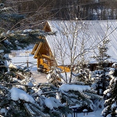 Центр отдыха Усадьба Ястребино, Волосовский район, Ленинградская область