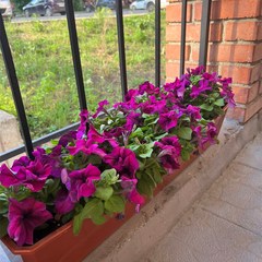 Отель Как дома и точка, Томск, Томская область