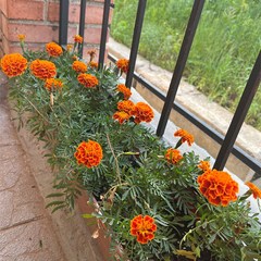 Отель Как дома и точка, Томск, Томская область