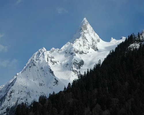 Альпийский — фото 3