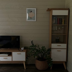 Дом в стиле Фахверк у леса, Истра, Московская область