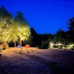 Рыболовная база Чуварлейская долина озер, Дальнеконстантиновский район, Нижегородская область