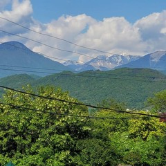 Гостевой дом Ангел, Цандрипш, Гагра