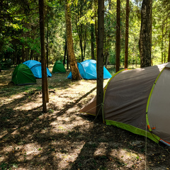 Спортивная база отдыха Правда, Пушкинский район, Московская область