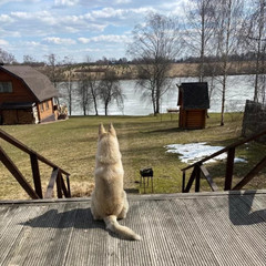 База отдыха Банный Остров, Тверская область