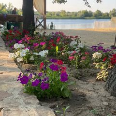 База отдыха Белуга, Каменск-Шахтинский, Ростовская область