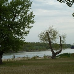 База отдыха Правый берег, Усть-Донецкий район, Ростовская область