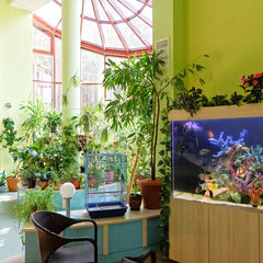 Санаторий Ружанский, Брестская область