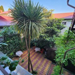 Гостевой дом Лето LIFE, Сочи, Краснодарский край