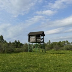 Охотничье-рыболовная база Сказка, Гаврилов-Ямский район, Ярославская область