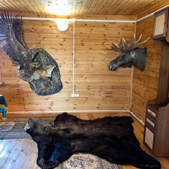 Охотничье-рыболовная база Сказка, Гаврилов-Ямский район, Ярославская область