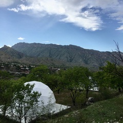 Глэмпинг Абрикос Village, Республика Дагестан