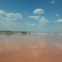 Отель Кокос, Прибрежное, Крым