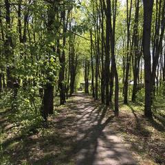 Апартаменты В лесу, Звенигород, Московская область