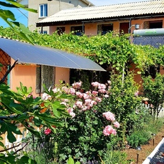 Семейный пансионат Три Флага, Николаевка, Крым