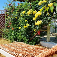 Семейный пансионат Три Флага, Николаевка, Крым