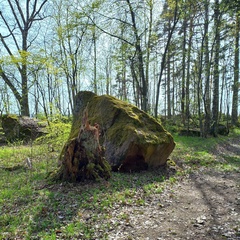 База отдыха и рыбалки Нобельский Мыс, Выборгский район, Ленинградская область