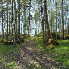 База отдыха и рыбалки Нобельский Мыс, Выборгский район, Ленинградская область