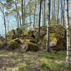 База отдыха и рыбалки Нобельский Мыс, Выборгский район, Ленинградская область