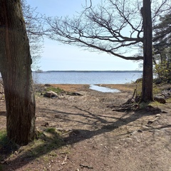 База отдыха и рыбалки Нобельский Мыс, Выборгский район, Ленинградская область
