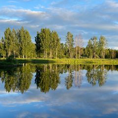 Гостевой дом Family cub, Приозерский район, Ленинградская область