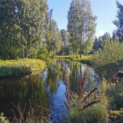 Гостевой дом Family cub, Приозерский район, Ленинградская область