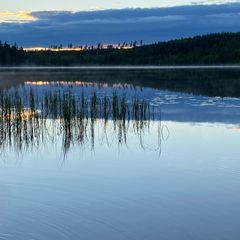 Гостевой дом Family cub, Приозерский район, Ленинградская область