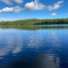 Гостевой дом Family cub, Приозерский район, Ленинградская область
