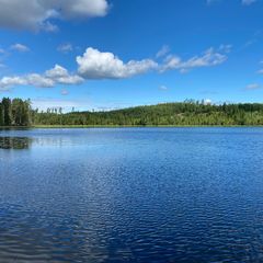 Гостевой дом Family cub, Приозерский район, Ленинградская область