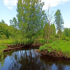 Гостевой дом Family cub, Приозерский район, Ленинградская область
