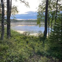 Гостевой дом Family cub, Приозерский район, Ленинградская область