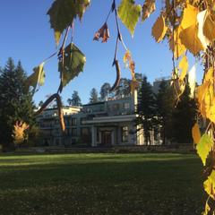 Отель Art-Hotel Chalet Apartments, Звенигород, Московская область