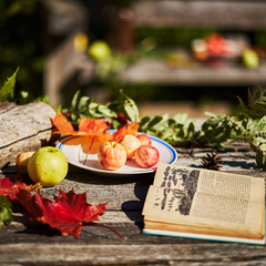 Отель Art-Hotel Chalet Apartments, Звенигород, Московская область