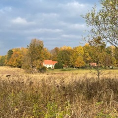 Агроусадьба Rominta Guest Haus, Нестеровский район, Калининградская область