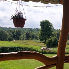 Агроусадьба Rominta Guest Haus, Нестеровский район, Калининградская область