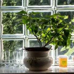 Агроусадьба Rominta Guest Haus, Нестеровский район, Калининградская область