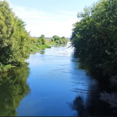 Глэмпинг Иголка Кэмп, Рязанская область
