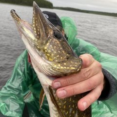 База отдыха На рыбалку, Лоухский район, Республика Карелия