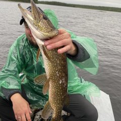 База отдыха На рыбалку, Лоухский район, Республика Карелия