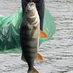 База отдыха На рыбалку, Лоухский район, Республика Карелия