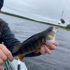 База отдыха На рыбалку, Лоухский район, Республика Карелия