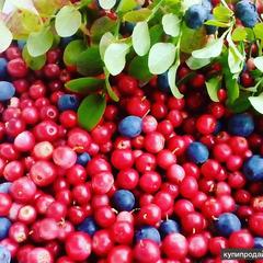 Гостевой комплекс ВЕРЕСК, Олонецкий район, Республика Карелия