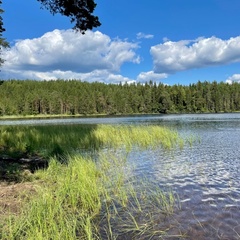 Гостевой комплекс ВЕРЕСК, Олонецкий район, Республика Карелия