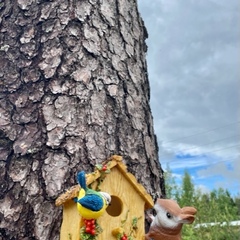 Гостевой комплекс ВЕРЕСК, Олонецкий район, Республика Карелия