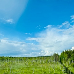 Гостевой комплекс ВЕРЕСК, Олонецкий район, Республика Карелия
